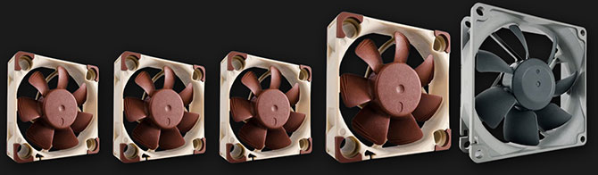 noctua